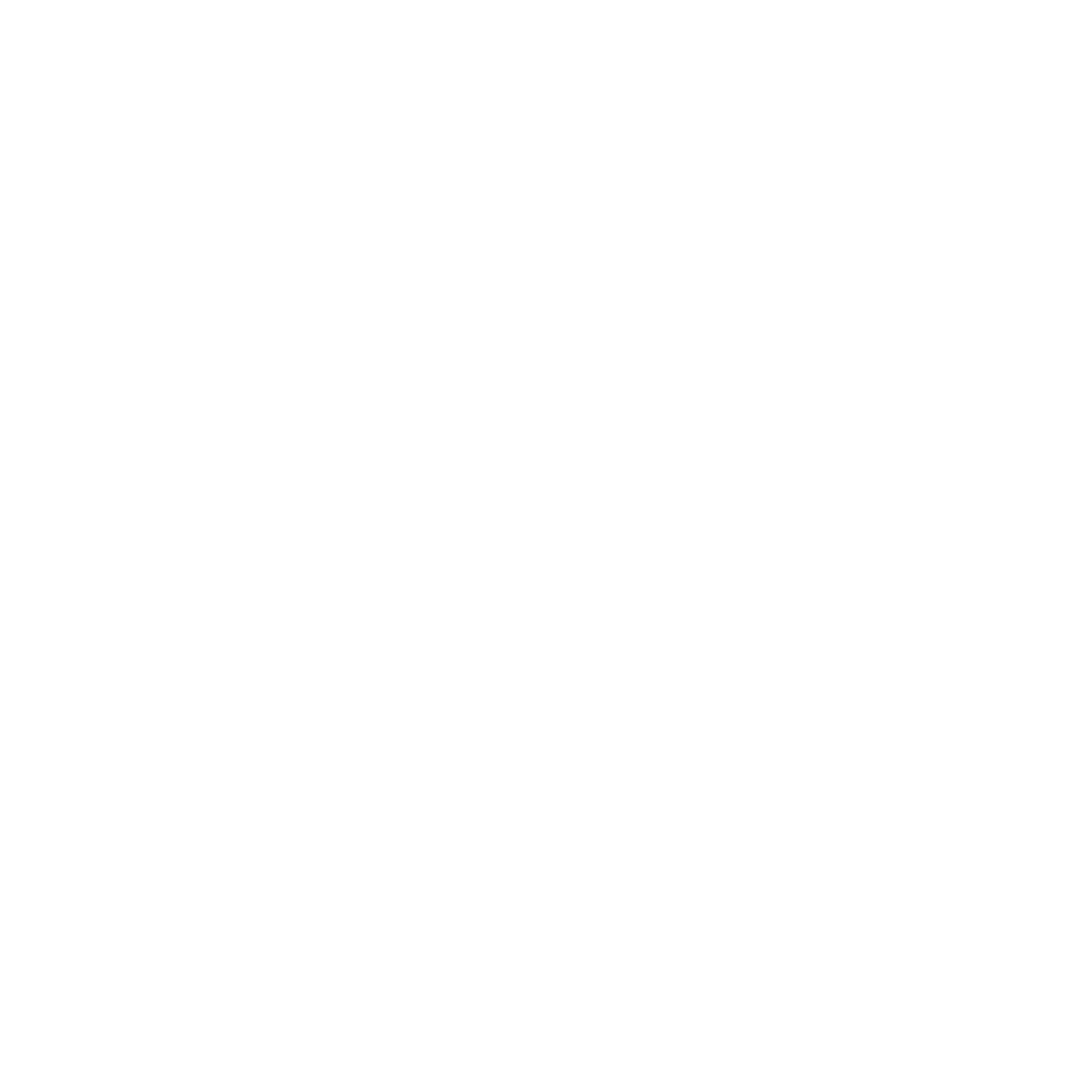 Ragnetiq Logo